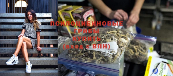 ALPHA PVP Няндома