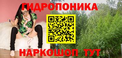 a pvp Гусь-Хрустальный