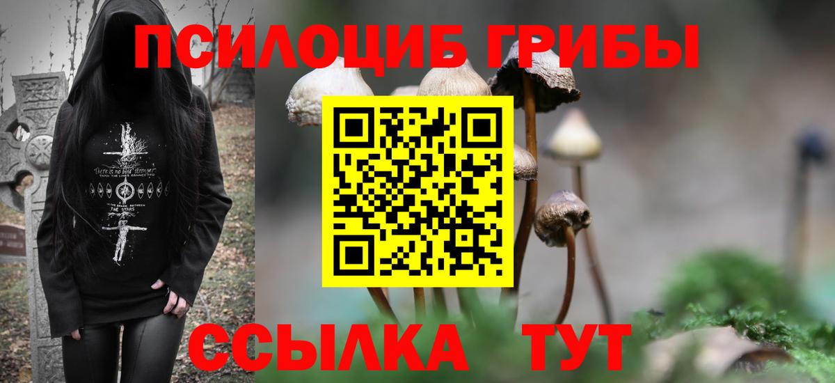 Галлюциногенные грибы MAGIC MUSHROOMS Мурино
